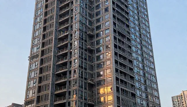 技术支持场景下的全流程跟进应用与限制